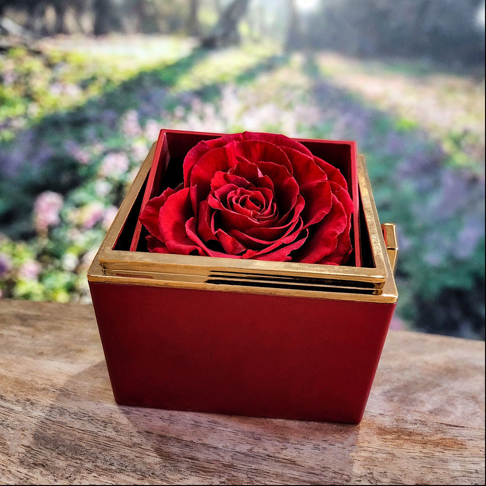 Love Knot Pendant with Elegant Rotating Gift Box