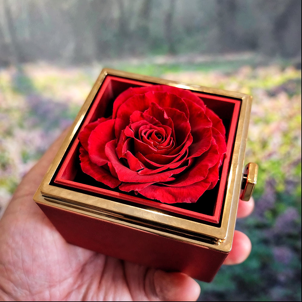 Love Knot Pendant with Elegant Rotating Gift Box